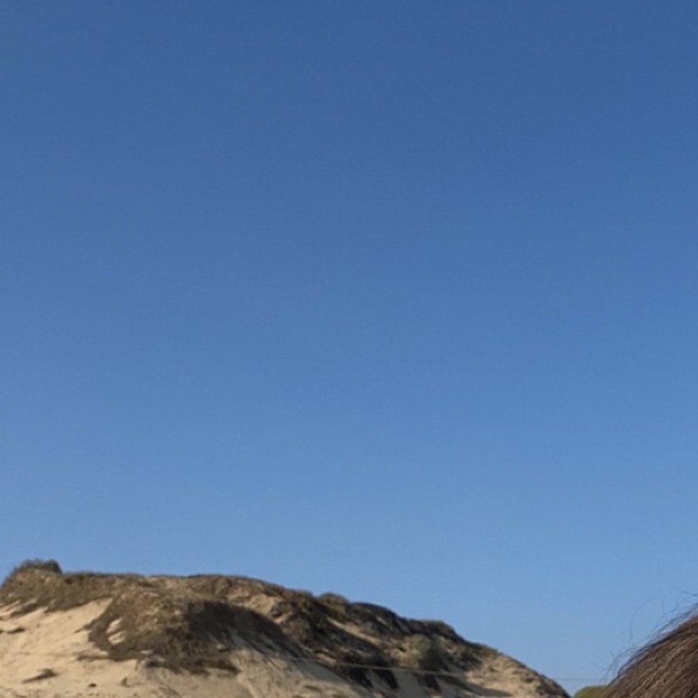 Meet your Posher, Abigail